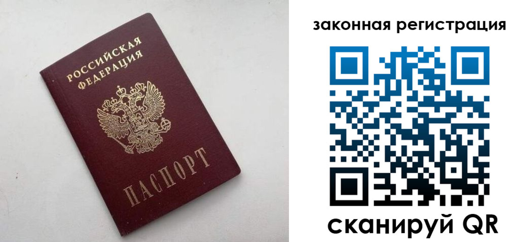 прописка гарантия в Нововоронеже